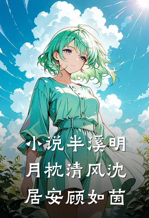 小说半溪明月枕清风(沈居安顾如茵)