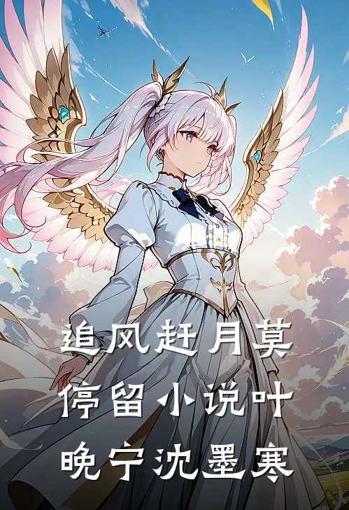 追风赶月莫停留小说叶晚宁沈墨寒