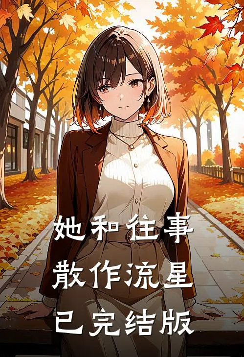 她和往事，散作流星已完结版