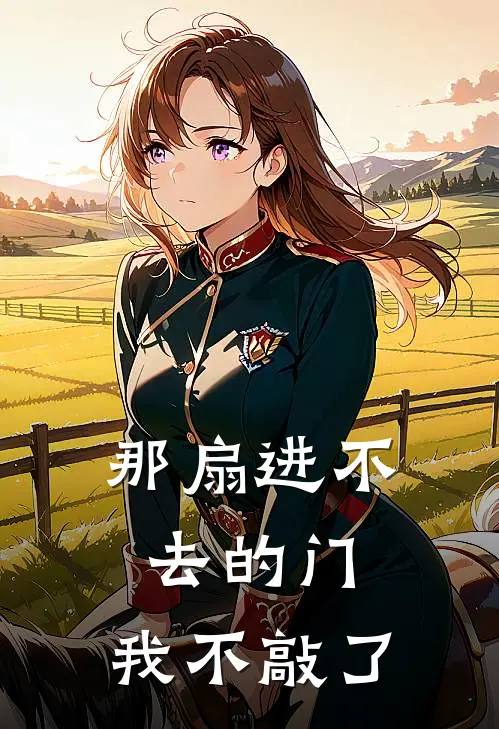 那扇进不去的门,我不敲了顾时宴
