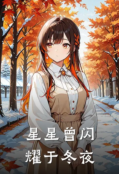 星星曾闪耀于冬夜