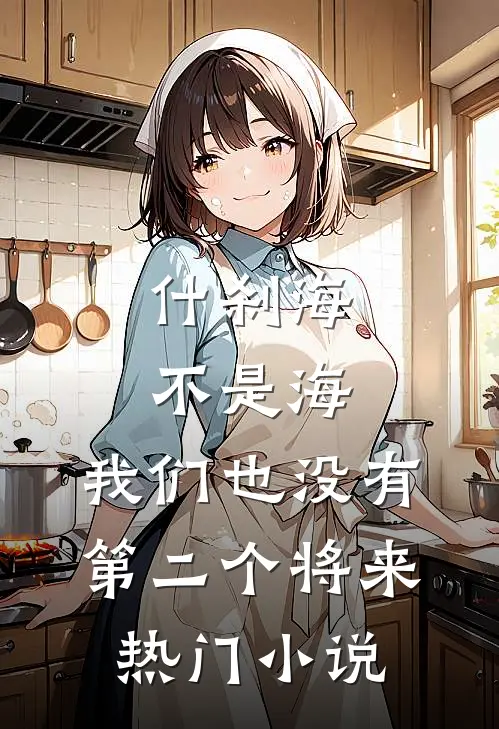 什刹海不是海，我们也没有第二个将来热门小说