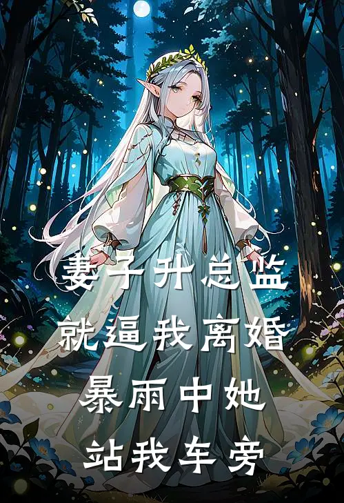 妻子升总监就逼我离婚，暴雨中她站我车旁