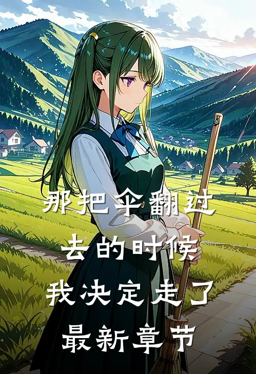 那把伞翻过去的时候，我决定走了最新章节