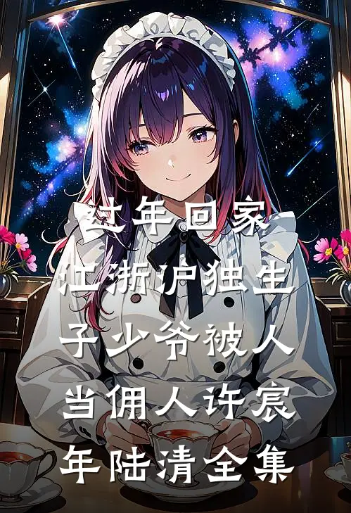 过年回家，江浙沪独生子少爷被人当佣人许宸年陆清全集