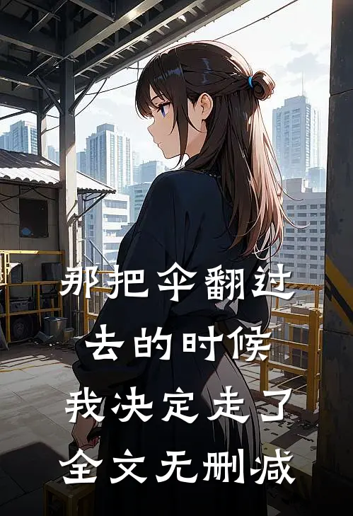 那把伞翻过去的时候，我决定走了全文无删减