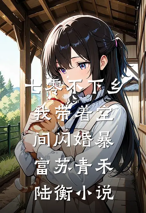 七零不下乡，我带着空间闪婚暴富苏青禾陆衡小说