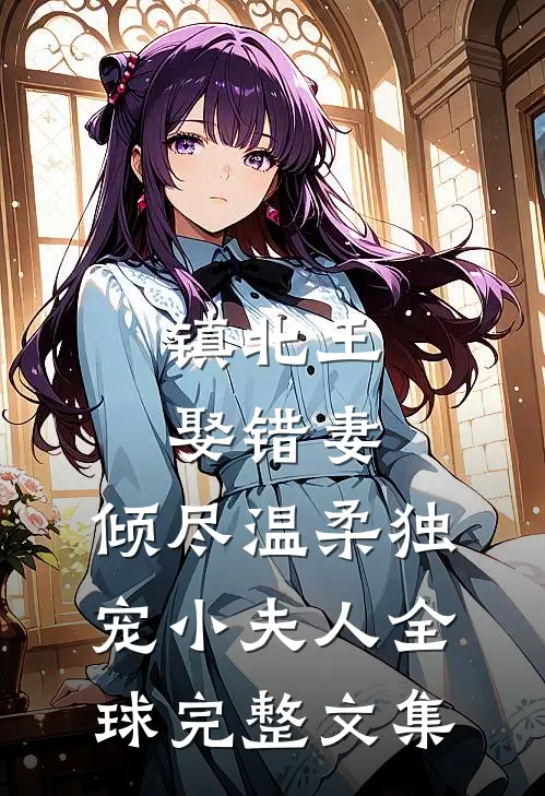 镇北王娶错妻，倾尽温柔独宠小夫人全球完整文集