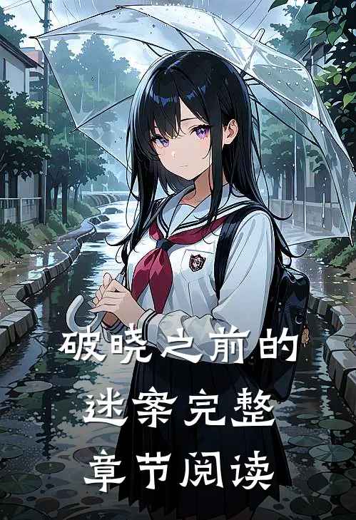 破晓之前的迷案完整章节阅读