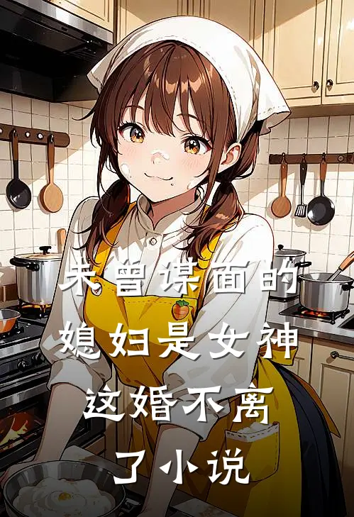 未曾谋面的媳妇是女神，这婚不离了小说