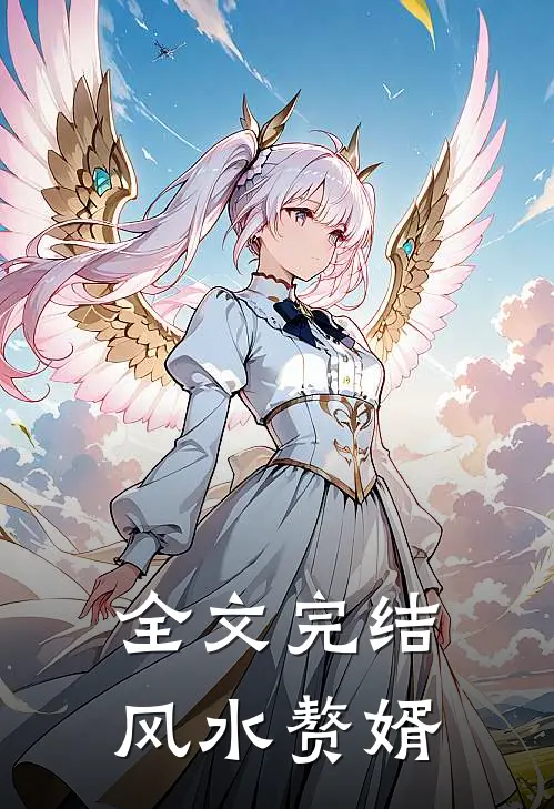 全文完结风水赘婿