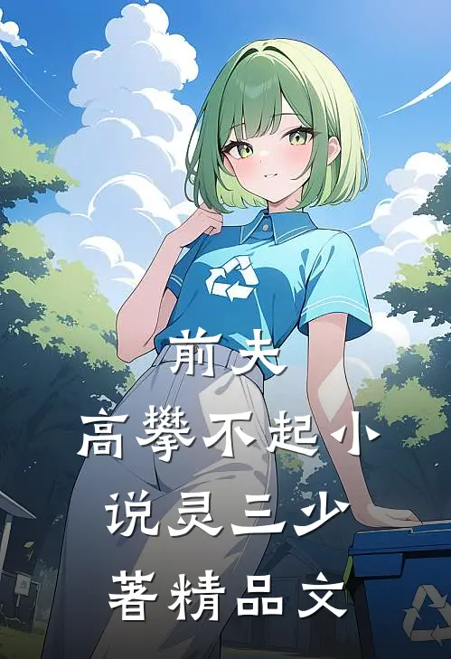 前夫,高攀不起 小说灵三少著精品文