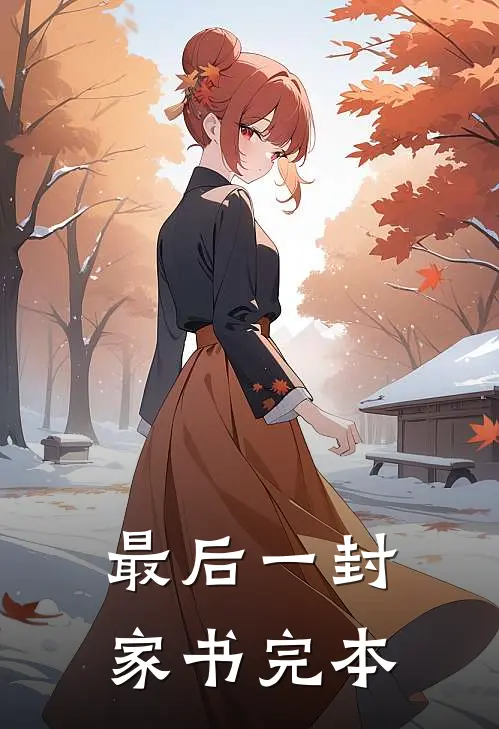 最后一封家书完本