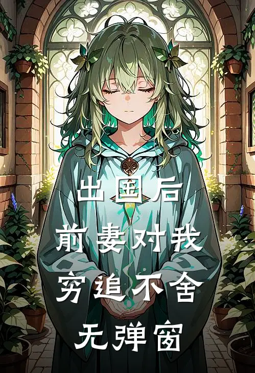 出国后，前妻对我穷追不舍无弹窗