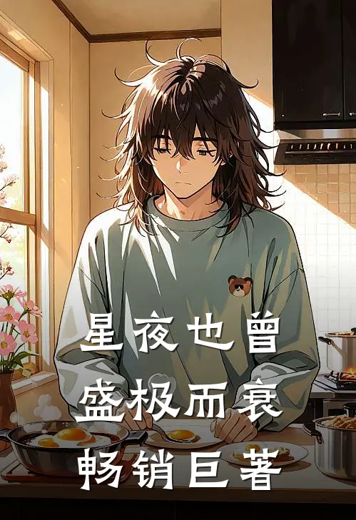 星夜也曾盛极而衰畅销巨著