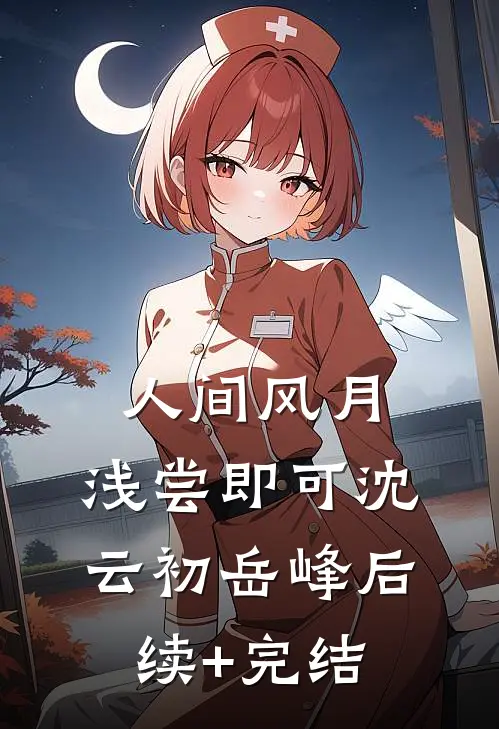 人间风月，浅尝即可沈云初岳峰后续+完结