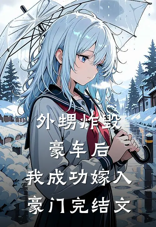 外甥炸毁豪车后，我成功嫁入豪门完结文