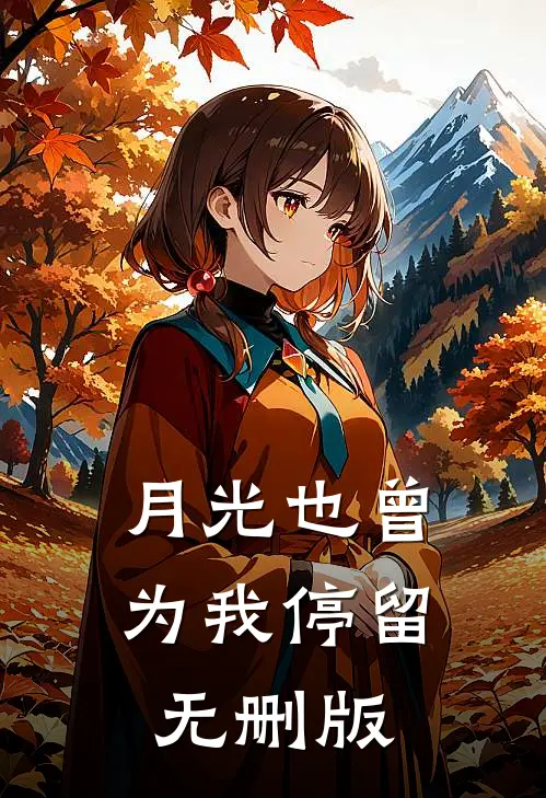 月光也曾为我停留无删版