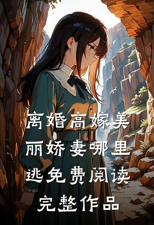 离婚高嫁美丽娇妻哪里逃免费阅读完整作品