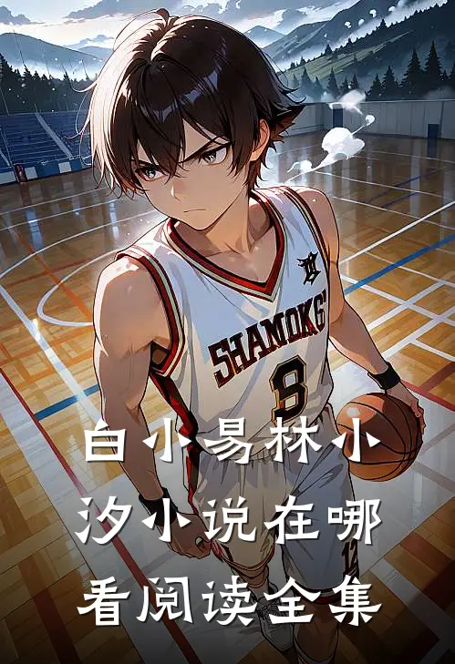 白小易林小汐小说在哪看阅读全集