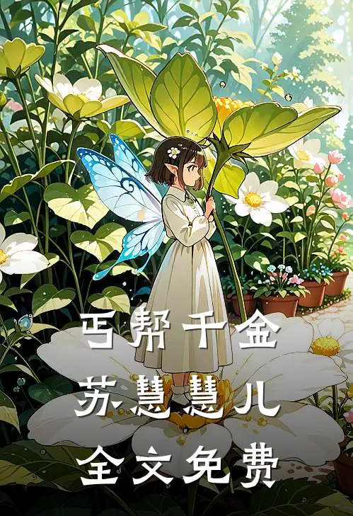 丐帮千金苏慧慧儿全文免费