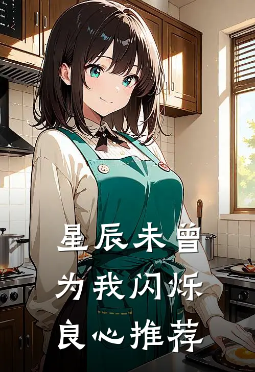 星辰未曾为我闪烁良心推荐