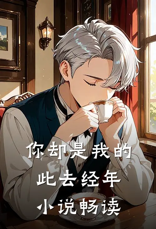 你却是我的此去经年小说畅读