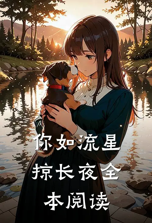你如流星掠长夜全本阅读