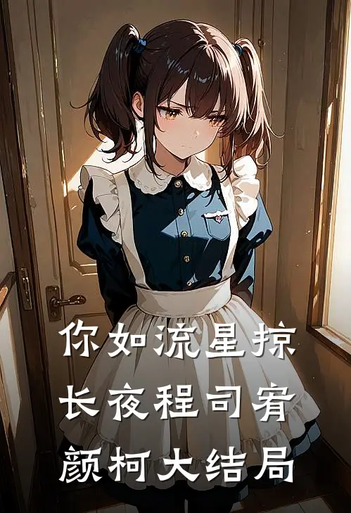 你如流星掠长夜程司宥颜柯大结局
