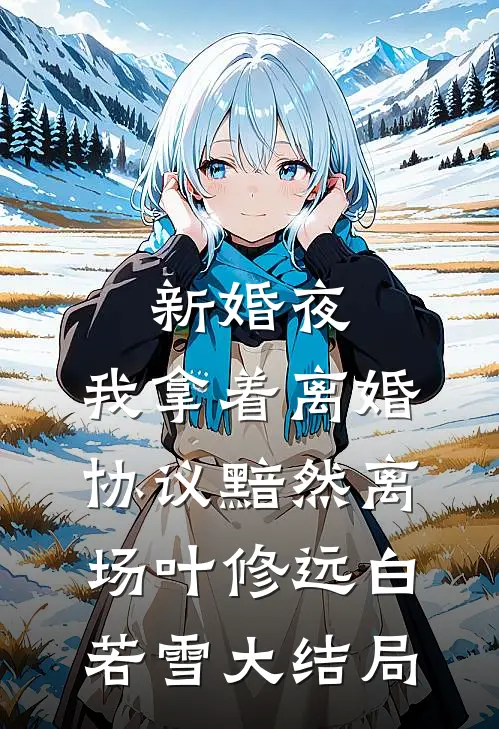 新婚夜，我拿着离婚协议黯然离场叶修远白若雪大结局