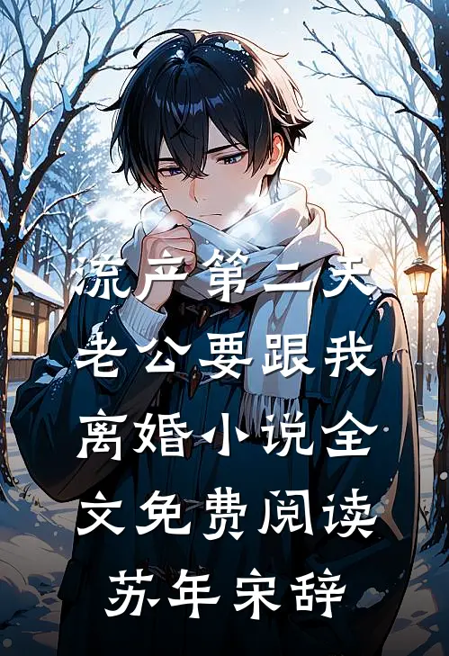 流产第二天，老公要跟我离婚小说全文免费阅读苏年宋辞