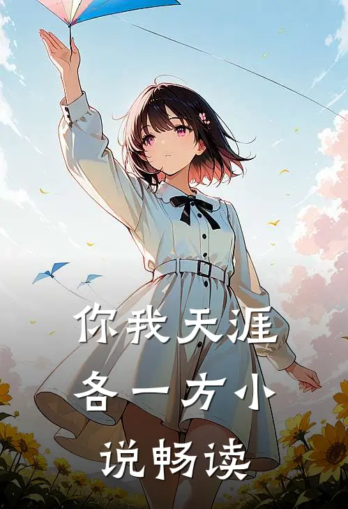 你我天涯各一方小说畅读