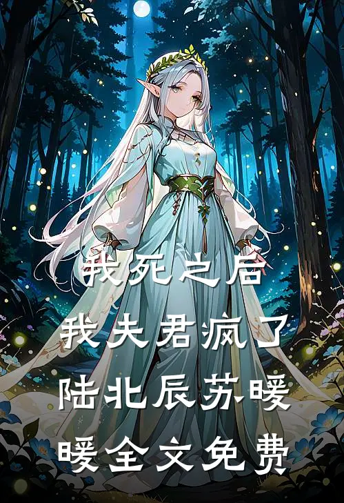 我死之后，我夫君疯了陆北辰苏暖暖全文免费