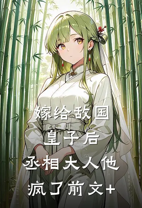 嫁给敌国皇子后，丞相大人他疯了前文+